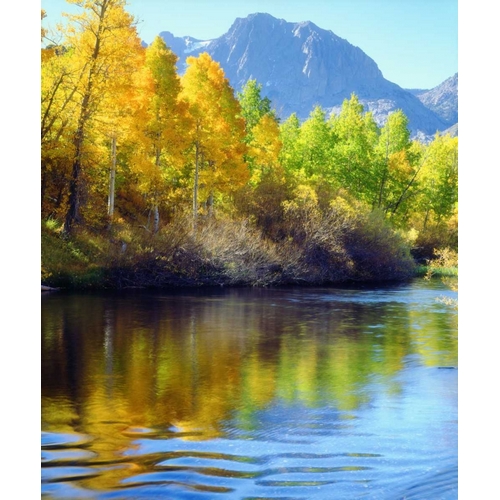 CA, Sierra Nevada, Autumn reflects in Rush Creek